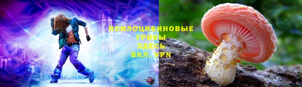 стаф Саяногорск