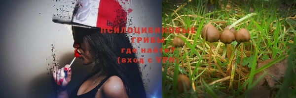 прущие крисы Арсеньев
