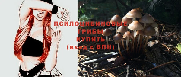 прущие крисы Арсеньев