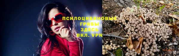 круглые Аркадак